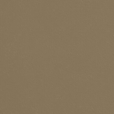 Current product image