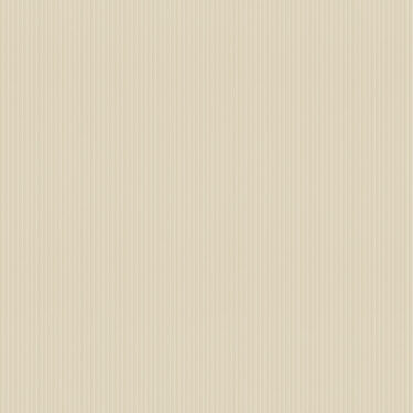 Current product image